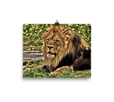 King Of The Jungle. Enhanced Matte Paper Poster