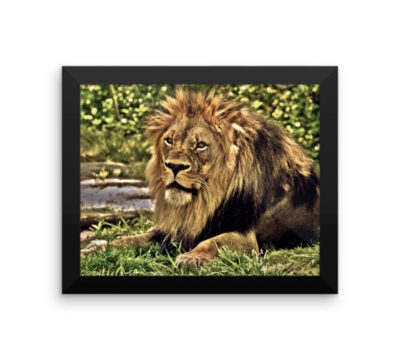 King Of The Jungle. Premium Luster Photo Paper Poster